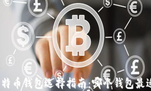 
最优比特币钱包选择指南：哪个钱包最适合你？